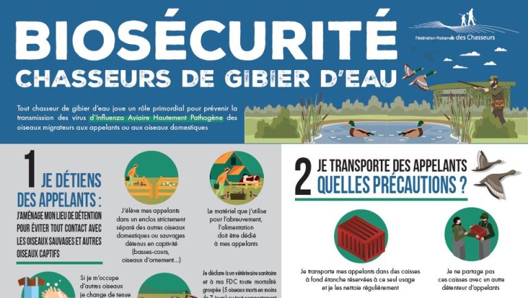 Influenza aviaire hautement pathogène : passage en risque élevé
