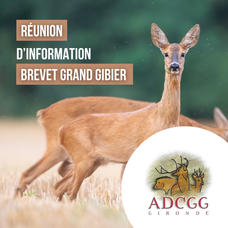 Réunion d&rsquo;information sur le Brevet national Grand Gibier