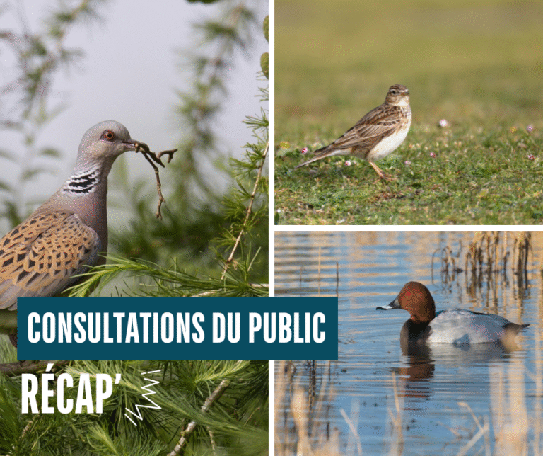 Consultations publiques en cours – Récapitulatif