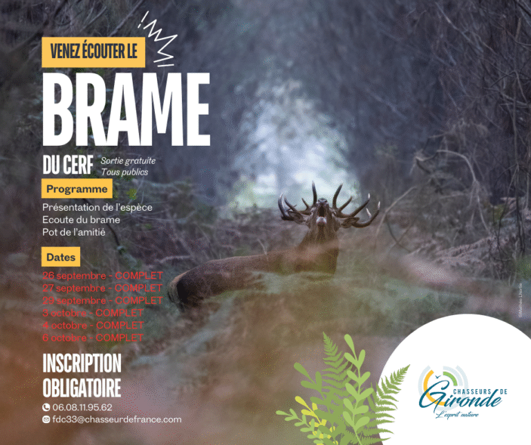 À la découverte du brame du cerf