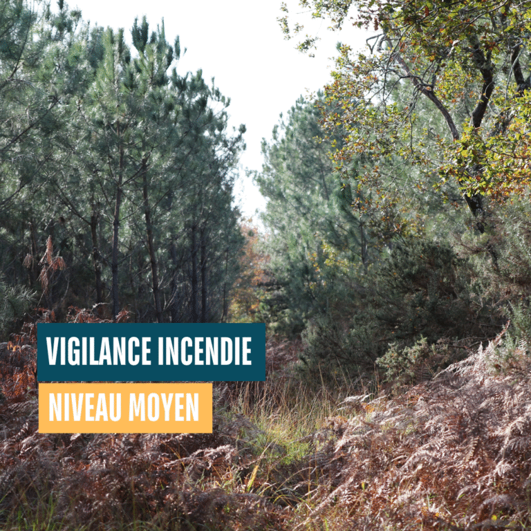 Vigilance incendie en Gironde – Retour au niveau jaune