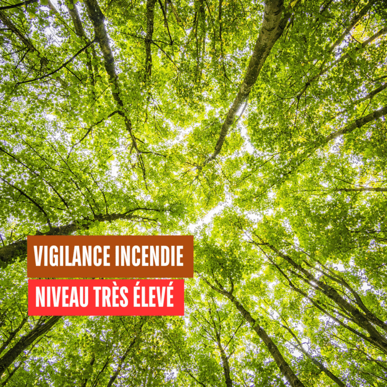 Vigilance incendie de forêt – Niveau très élevé