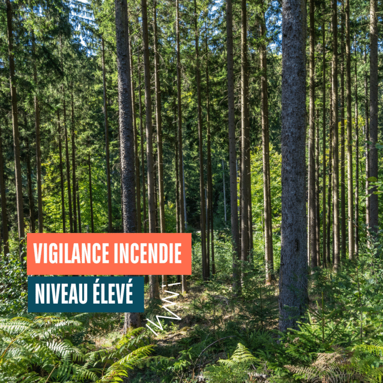 Vigilance incendie de forêt – Niveau élevé en Gironde