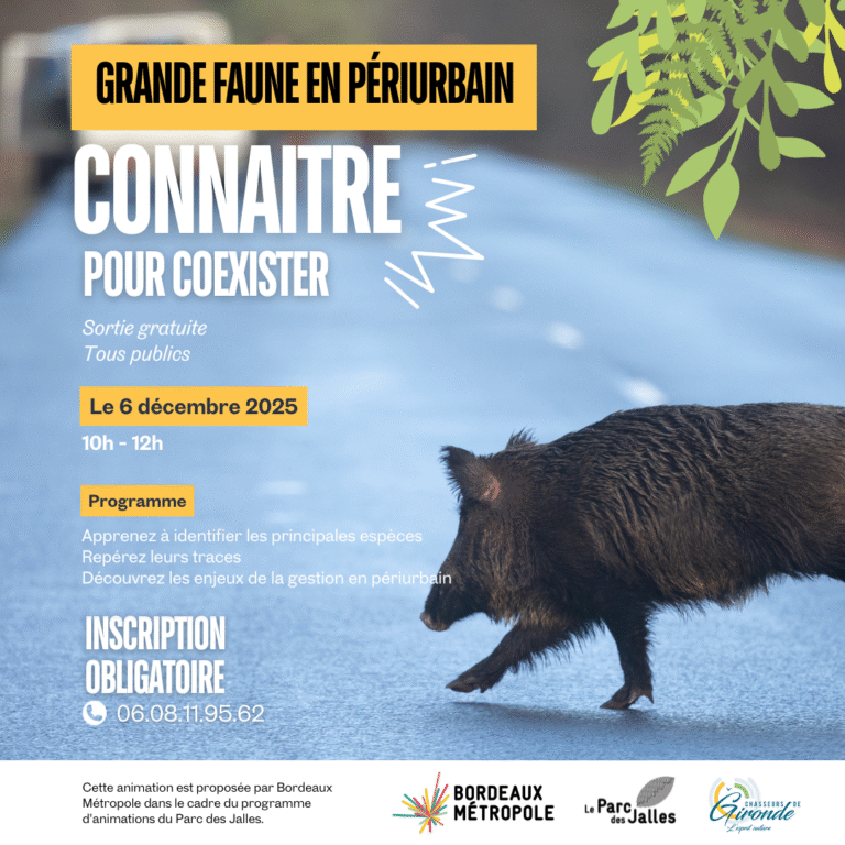 Animation Grand public – La grande faune dans le périurbain