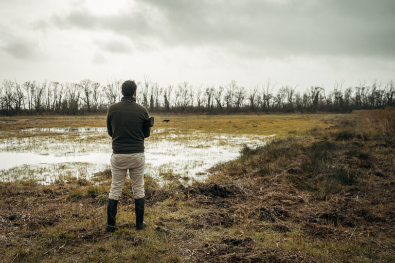Information relative à la chasse dans les communes à dominante forestière en Gironde et rappel des règles de sécurité