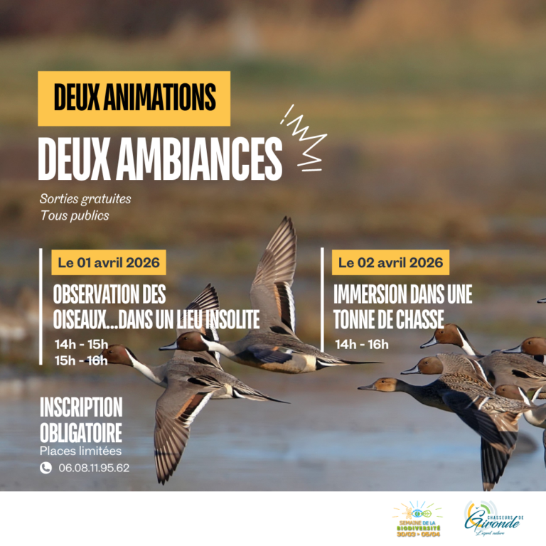 Nos animations pour la Semaine de la Biodiversité !