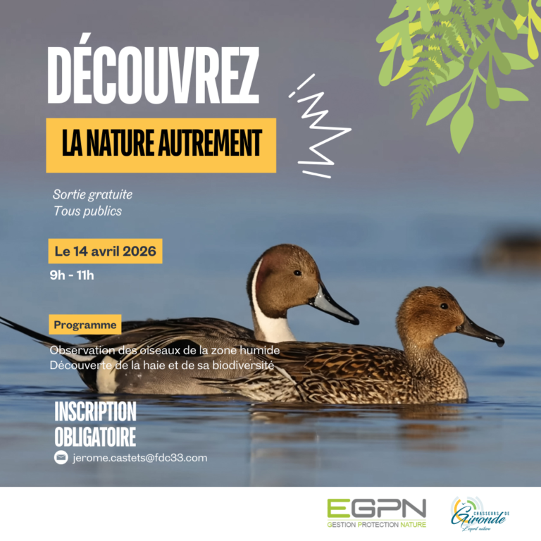 Envie de découvrir la nature autrement ?
