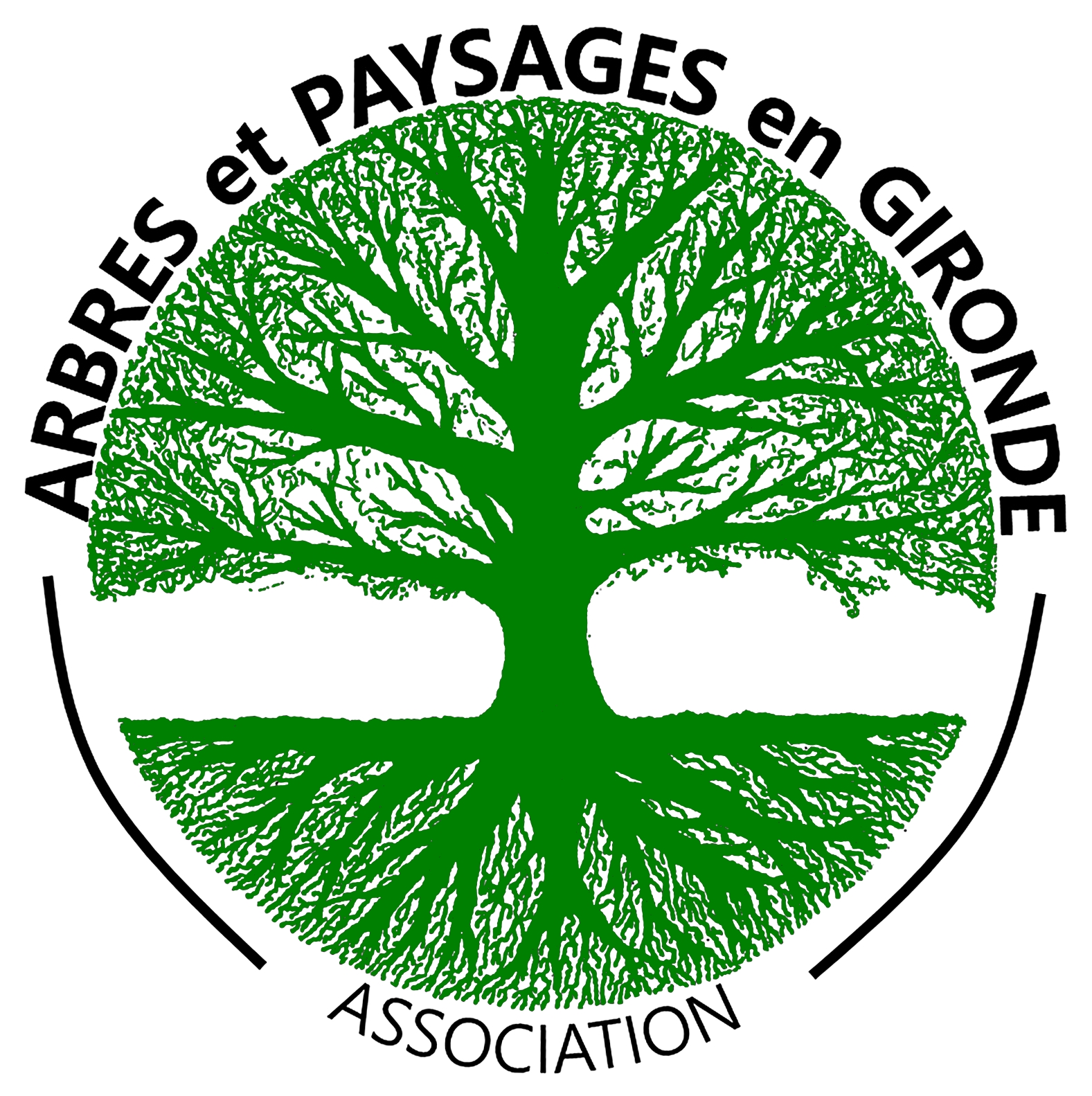 Logo AP33 HD