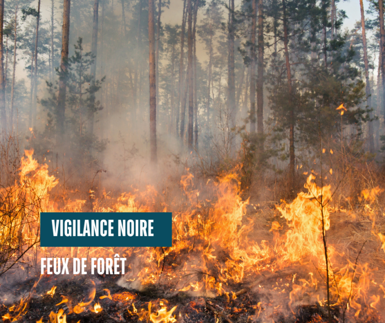 Vigilance noire feux de forêt – Niveau exceptionnel