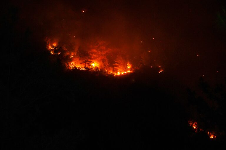 Vigilance élevée feux de forêt – Niveau Orange 3/5