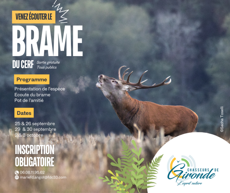 Les inscriptions aux soirées Brame du cerf sont ouvertes !